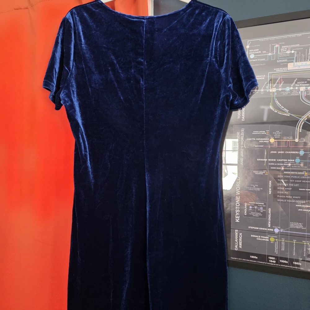Velvet Mini Dress - Picture 3 of 4